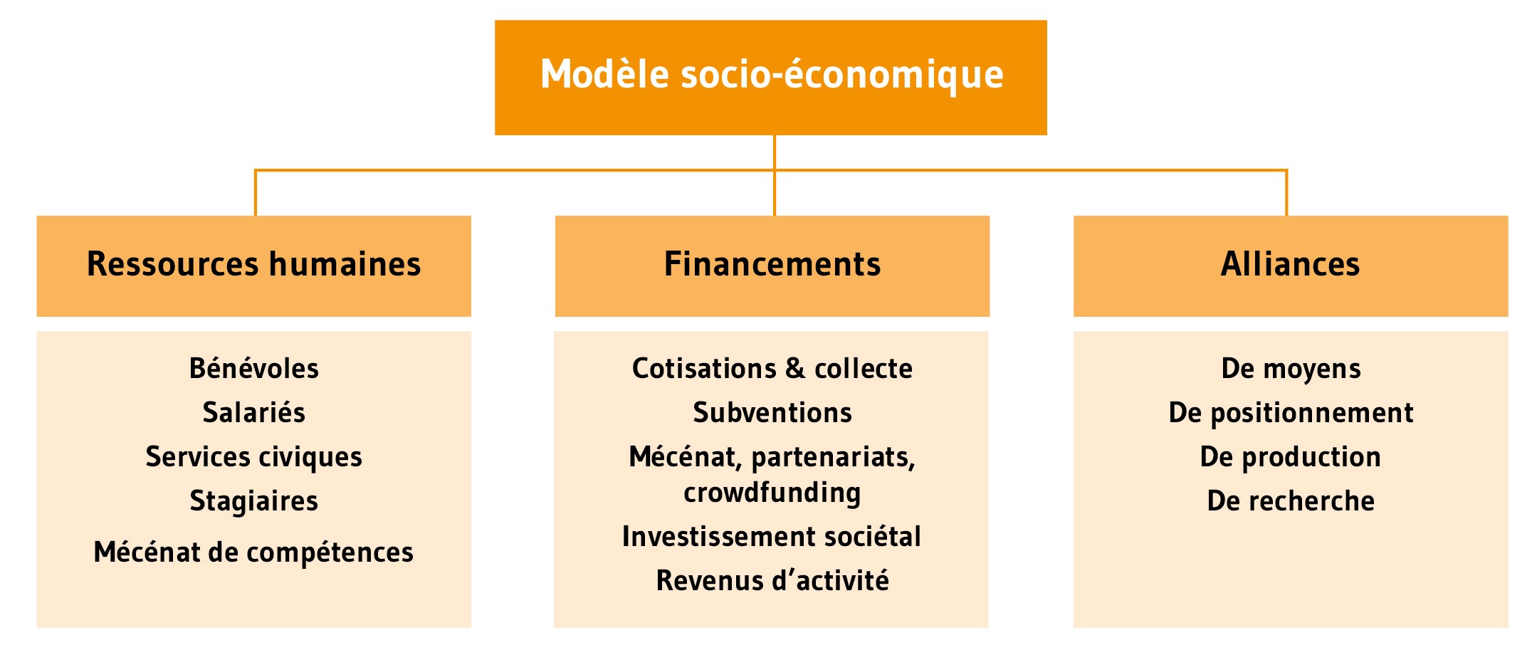 Modèle socio-économique, Ressources humaines : Bénévoles, Salariés, Services civiques, Stagiaires, Mécénat de compétences - Financements : Cotisations et collecte, Subventions, Mécénat, partenariats, crowdfunding, Investissement sociétal, Revenus d'activité - Alliances : De moyens, De positionnement, De production, De recherche