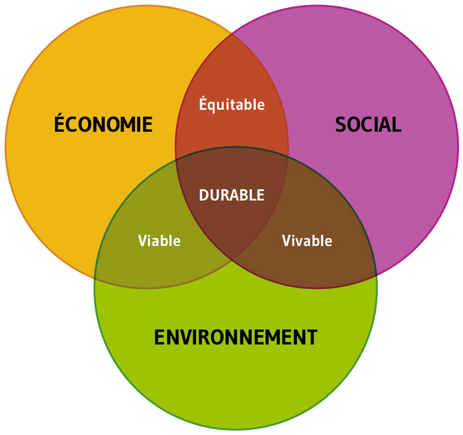3 piliers RSE - économique - social - environnemental